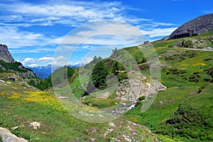 The alpine scenic landscapes of mountains, meadows and flowers at Dondena, Aosta Valley, Italy in natural reserve of Mount Avic