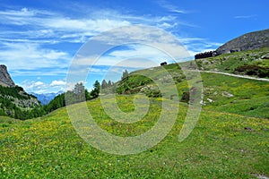 The alpine scenic landscapes of mountains, meadows and flowers at Dondena, Aosta Valley, Italy in natural reserve of Mount Avic