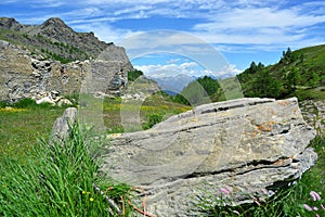 The alpine scenic landscapes of mountains, meadows and flowers at Dondena, Aosta Valley, Italy in natural reserve of Mount Avic