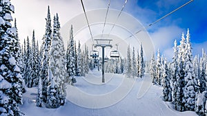 Alpine ski lift amidst snow covered trees and blue sky