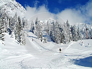 Alpine Skiers on snowy slopes photo