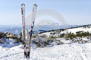 Alpine skiing