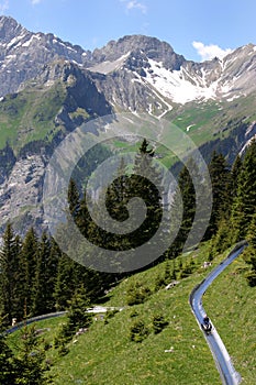 Alpine Slide in the Swiss Alps