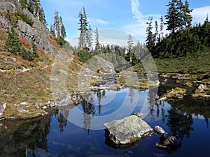 Alpine stream late fall scene