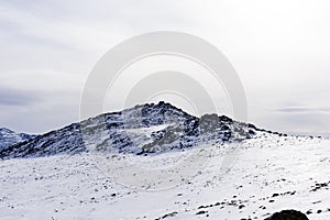 Alpine subarctic landscape of the Northern Urals photo