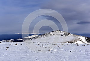Alpine subarctic landscape of the Northern Urals photo