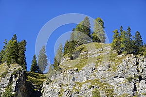 Alpine summer landscape of Cristallo Mountain