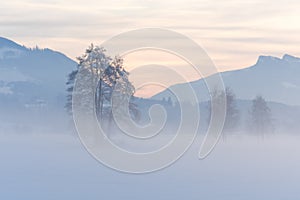 Alpine Sunset and Snowy Field