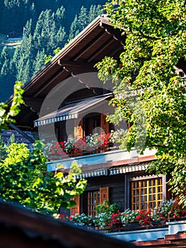 Alpine Swiss Village. Comfort and tranquility