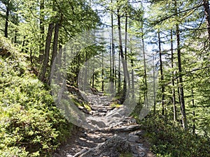 Alpine trail in the Gran Paradiso National Park