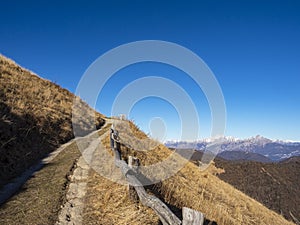 Alpine trail on mount Bolettone in the italian alps photo