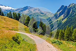 Alpine Trail in Switzerland