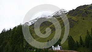 Alpine tree forest on the mountain with Alps in Samnaun, Switzerland