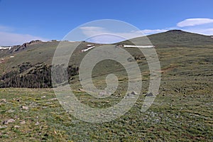 Alpine Tundra