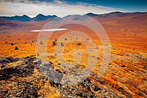 Alpine tundra photo