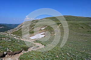 Alpine tundra above tree line on High Lonesome Trail in Indian Peaks Wilderness.