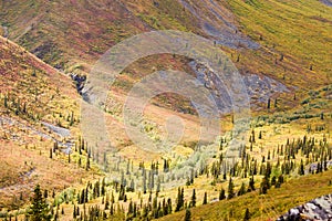 Alpine tundra habitat in high mountain valley