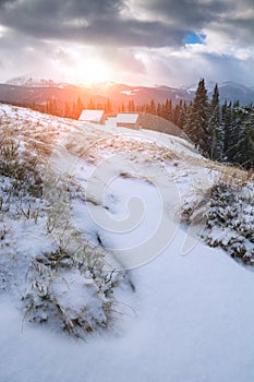 Alpine ukrainian village on a snowy hill