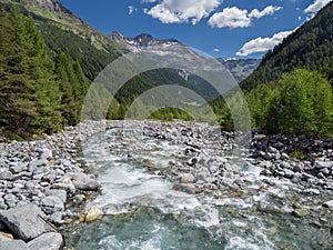 Alpine Val Sissone valley with river, Larch trees and mountains