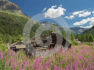 Alpine Val Sissone valley with stone shelter and mountains