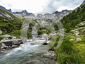 Alpine valley in Val Masino