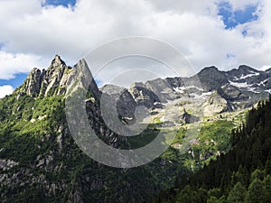Alpine valley in Val Masino