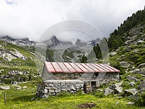 Alpine valley in Val Masino