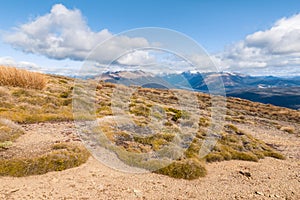 Alpine vegetation growing on arid slopes in Nelson Lakes National Park, New Zealand