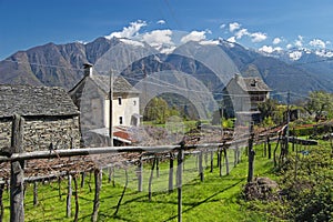 Alpine village landscape in spring
