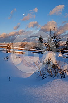 Alpine village outskirts in last evening sunset sun light. Winter snowy hills and fir trees