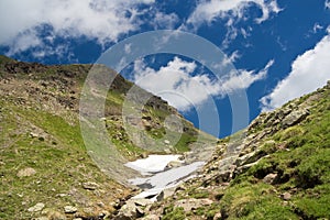 Alpine walk in summer photo