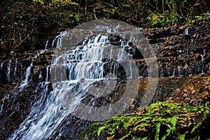 Alpine waterfall in the autumn woods one