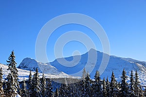 Alpine winter landscape on Hemsedal route in Norway, Europe