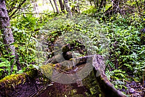 Alpine wooden fountain