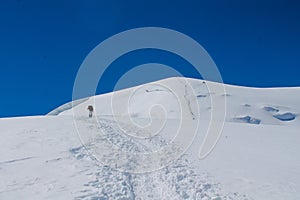 Alpinist climbing Lenin or Ibn Sina Avicenna Peak high camp