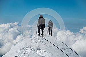 Alpinists on Aiguille de Bionnassay summit - extremely narrow snow ridge above clouds, Mont Blanc massif, France