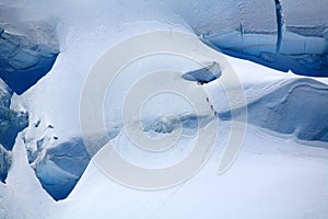 Alpinists on a glacier photo