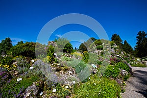 Alpinum in a botanical garden, summer time, landscaped alpinum, different countries
