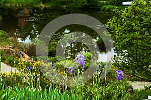 Alpinum in a botanical garden, tourist, hotspot photo