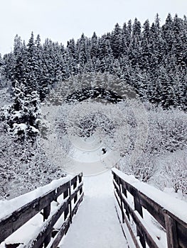 Alps, Christmas, Austria, Mountain, Skiing, Snow, New Years Eve, Bridge