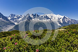 Alps in June. View of the Mont Blanc massif