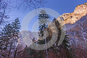 Alps mountains in Berchtesgaden forest with aerial blue sky. Picturesque mountains ladscape with autumn trees. Alpine nature.