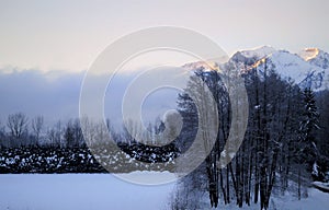 Alps Rising Above the Fog