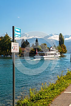 Alps and Thun lake near Spiez