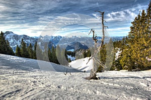 The Alps in winter (view from the Tegelberg-mounta