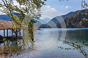 Alpsee im AllgÃ¤u with mountains and forests