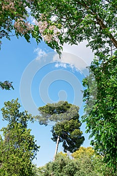 AlquerÃ­a Park in Seville, Andalusia. Spain. May 1, 2022