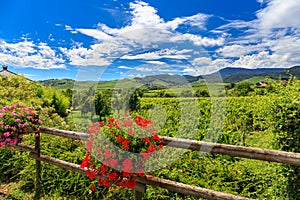 Alsace France Landscape