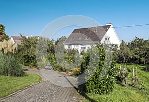 Alsace house with trees