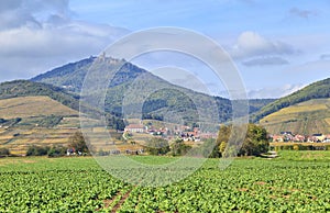Alsace landscape near village Orschwiller